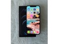 iphone-12-pro-max-256-gb-small-1