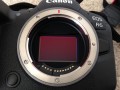 canon-eos-r6-small-1