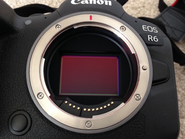 canon-eos-r6-big-1