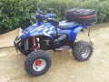 quad-polaris-scrambler-500-deluxe-2009-small-0