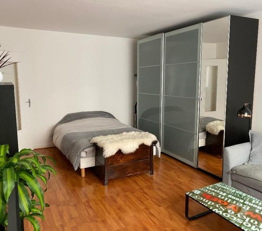 studio-meuble-35-m2-a-louer-boulogne-billancourt-big-0