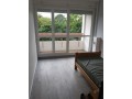 chambre-en-colocation-small-3