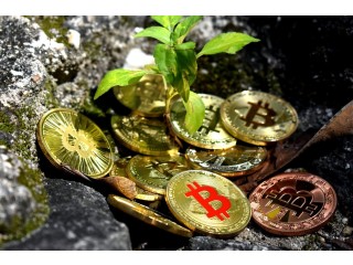 Formation en crypto monnaie et en trading forex