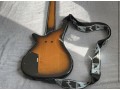 guitare-a-cinq-cordes-small-2