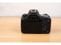 canon-eos-77d-small-3